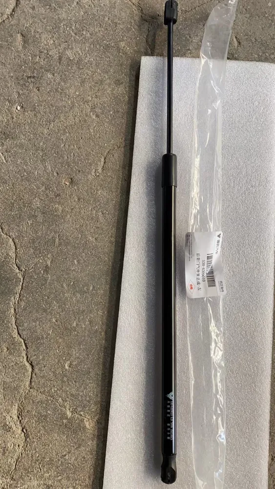 NETA U صنوبرص باب خلفي S30-6309020