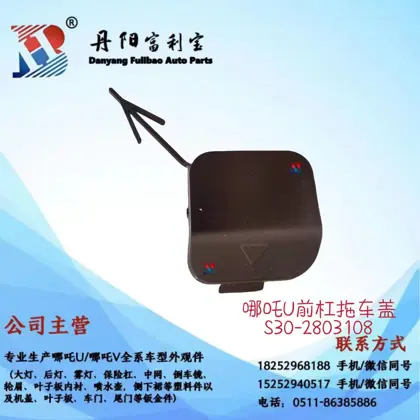 غطاء هوك السحب أمامي NZ-S302803108-OE
